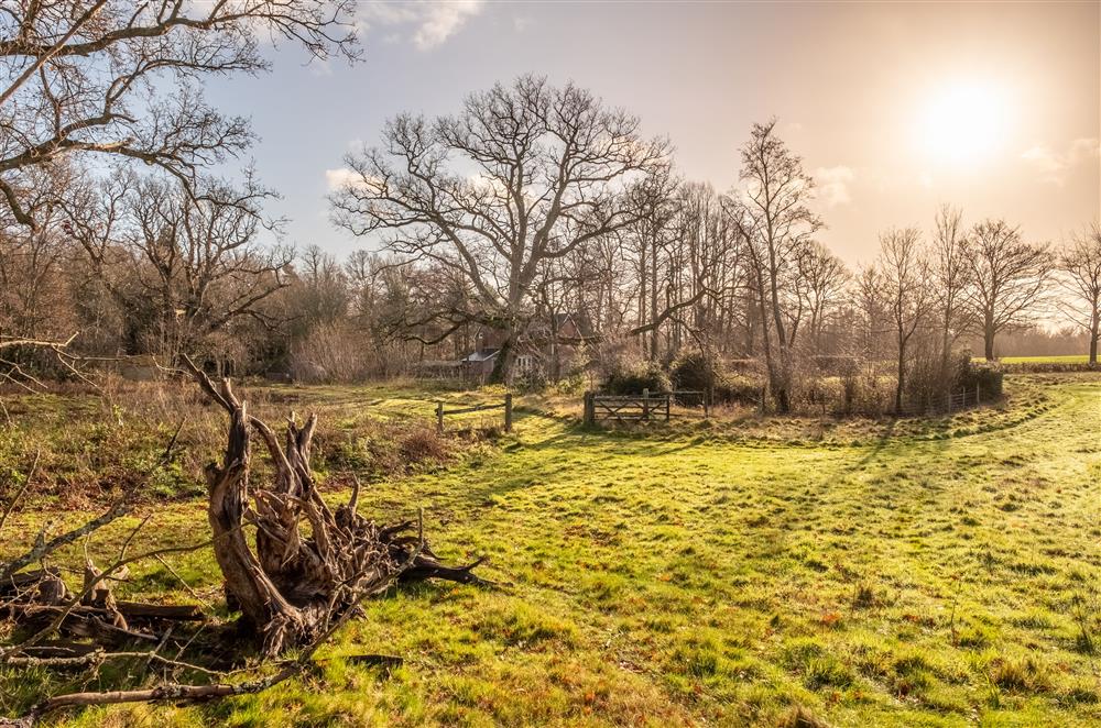 Beautiful grounds to wander around  (photo 2) at Hensill Farmhouse, Hawkhurst