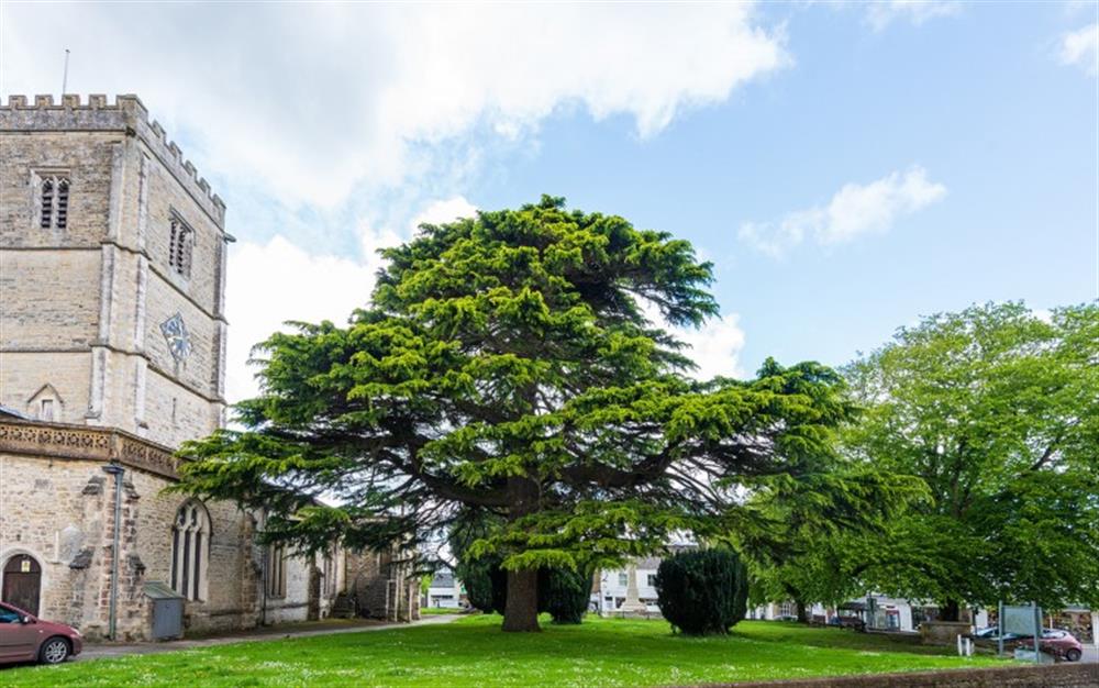 The attractive church green is nearby at Herb Cottage in Axminster