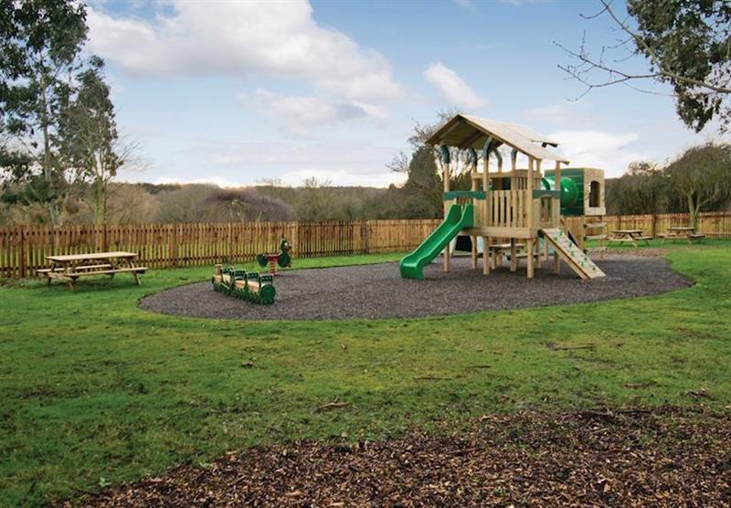 Children’s play area (photo number 11) at Herbage Country Lodges in Woodham Walter, Maldon, Essex