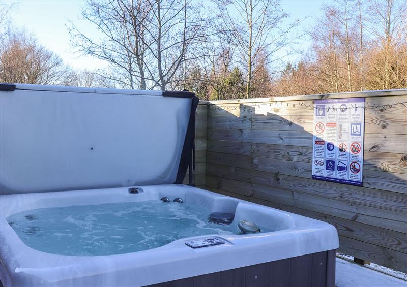Enjoy the hot tub at Hercules, Felton