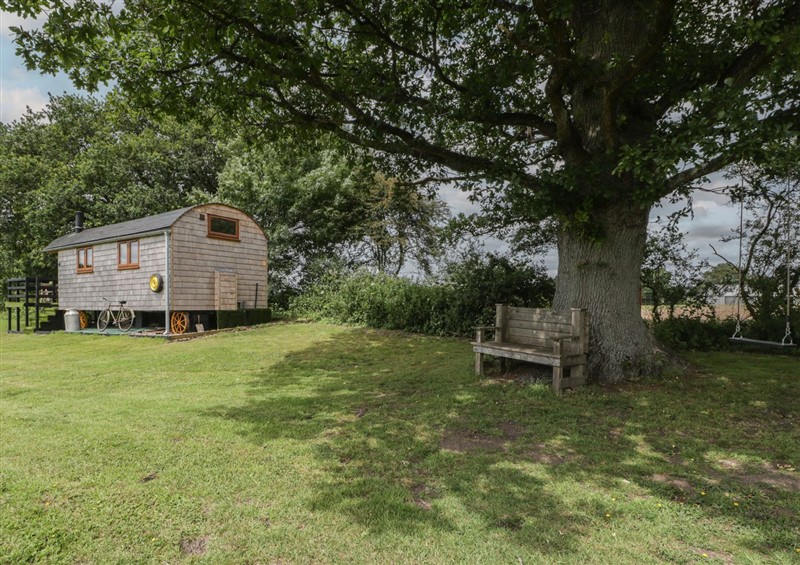 Enjoy the garden (photo 2) at Hercules Shepherds Hut, Congresbury