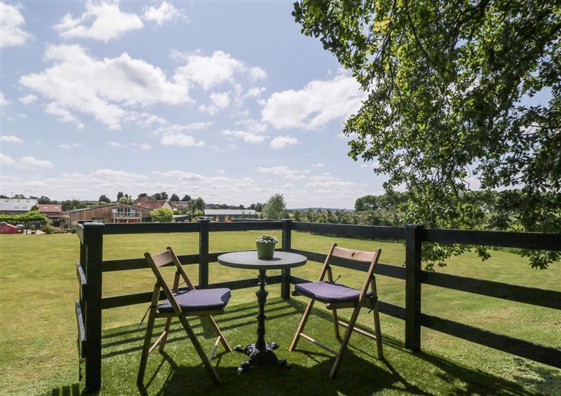 Enjoy the garden at Hercules Shepherds Hut, Congresbury