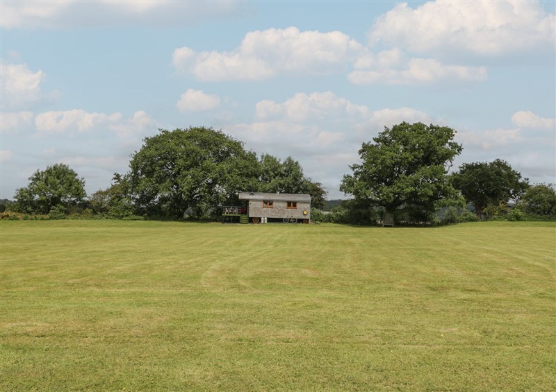 The garden at Hercules Shepherds Hut, Congresbury