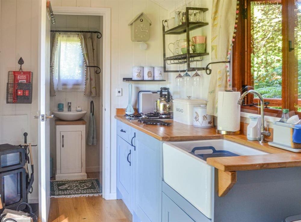 Kitchen area (photo 2) at Herdwick Hut in Llandovery, Dyfed