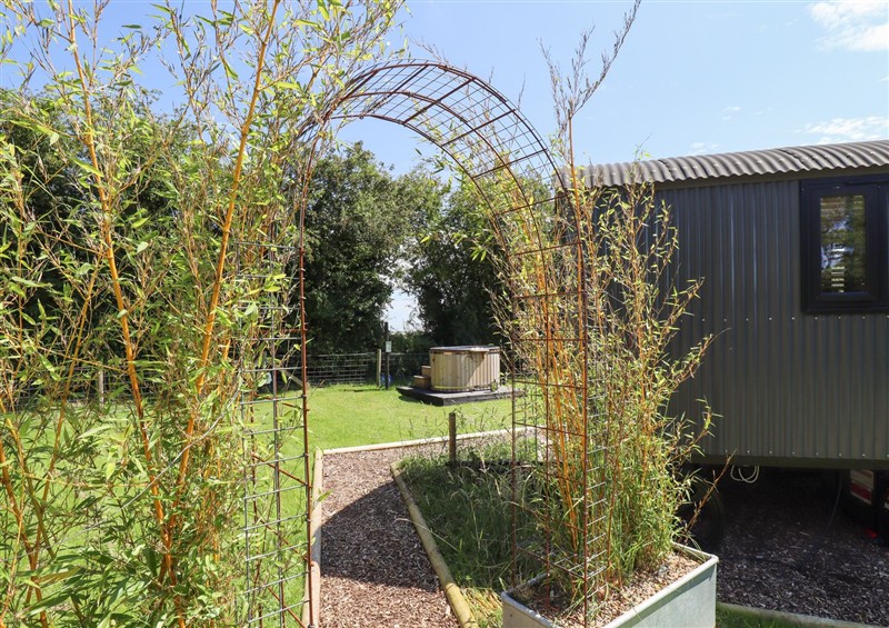 Enjoy the garden at Herdwick Luxury Glamping, Nottingham