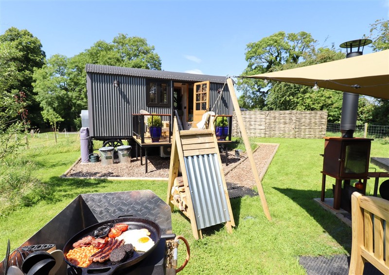The garden in Herdwick Luxury Glamping (photo 3) at Herdwick Luxury Glamping, Nottingham