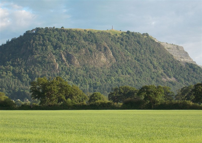 The area around Heribert Cottage