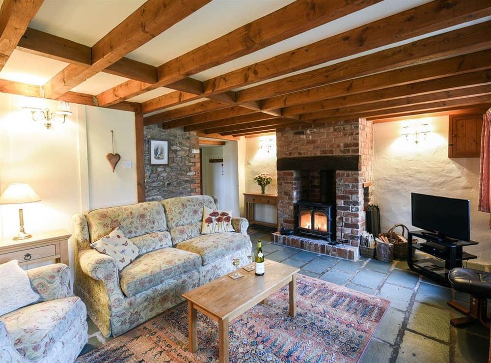Living room (photo 2) at Heron Cottage in Bishops Castle, Shropshire