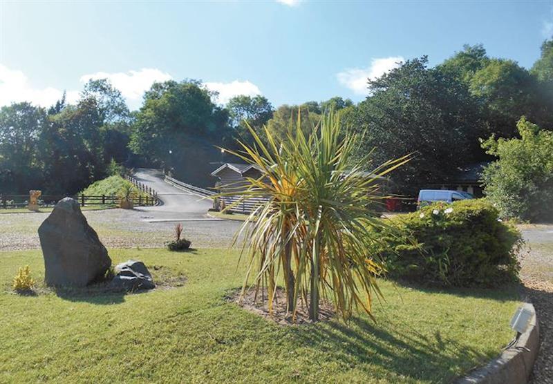 The park setting at Herons Lake Retreat in Caerwys, Flintshire