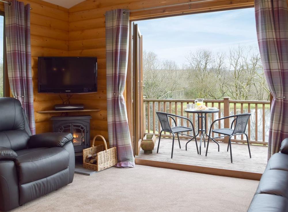 Light and airy living area at Herons Log Cabin in Rosebush, Dyfed