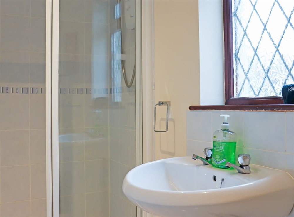 Shower room at Herons Rest in Tenby, Dyfed