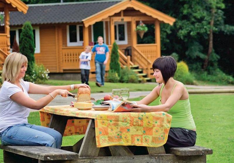 The park setting at Heronstone Lodges in , Mid Wales