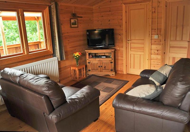 Typical Kingfisher VIP at Heronstone Lodges in , Mid Wales