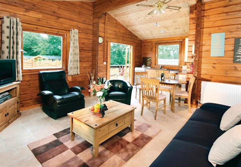 Typical Owl Lodge VIP (photo number 4) at Heronstone Lodges in , Mid Wales