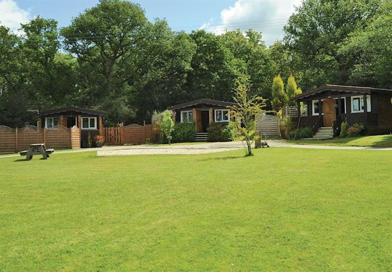 The park setting (photo number 9) at Heronstone Lodges in Ystradgynlais, Swansea