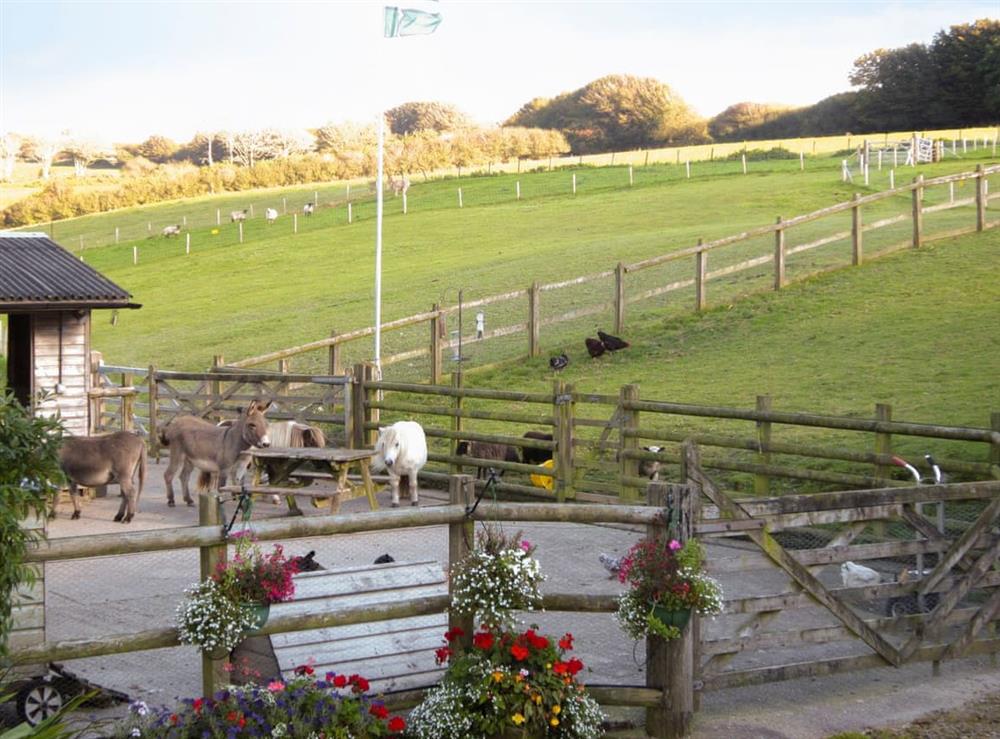Donkey stables and paddocks at The Linhay, 