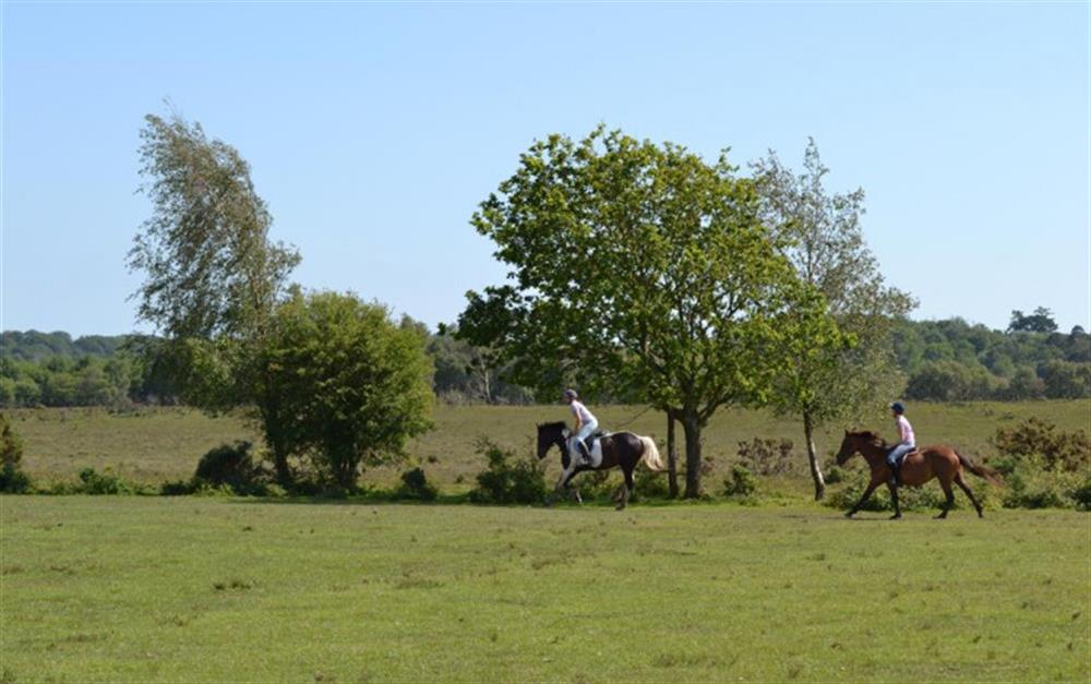 Horse riders at Whitefield Moor, Brockenhurst at Heywood Rest in Brockenhurst
