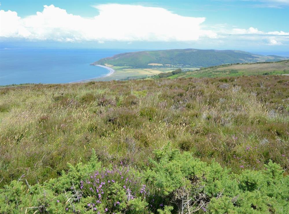 The rugged beauty of Exmoor at Hidden Gem in Berrynarbor, near Ilfracombe, Devon, England