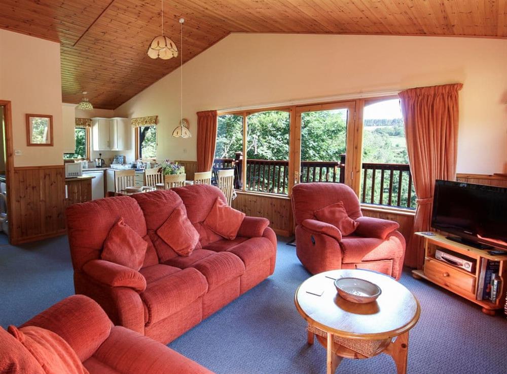 Spacious open plan living space at Treetops Lodge, 