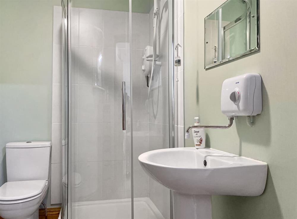 Shower room at High Banks Annexe in Chiseldon, Near Marlborough, Wiltshire