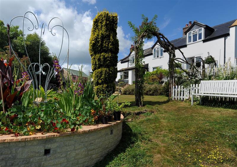 Enjoy the garden (photo 3) at High Bullen Cottage, Morcombelake