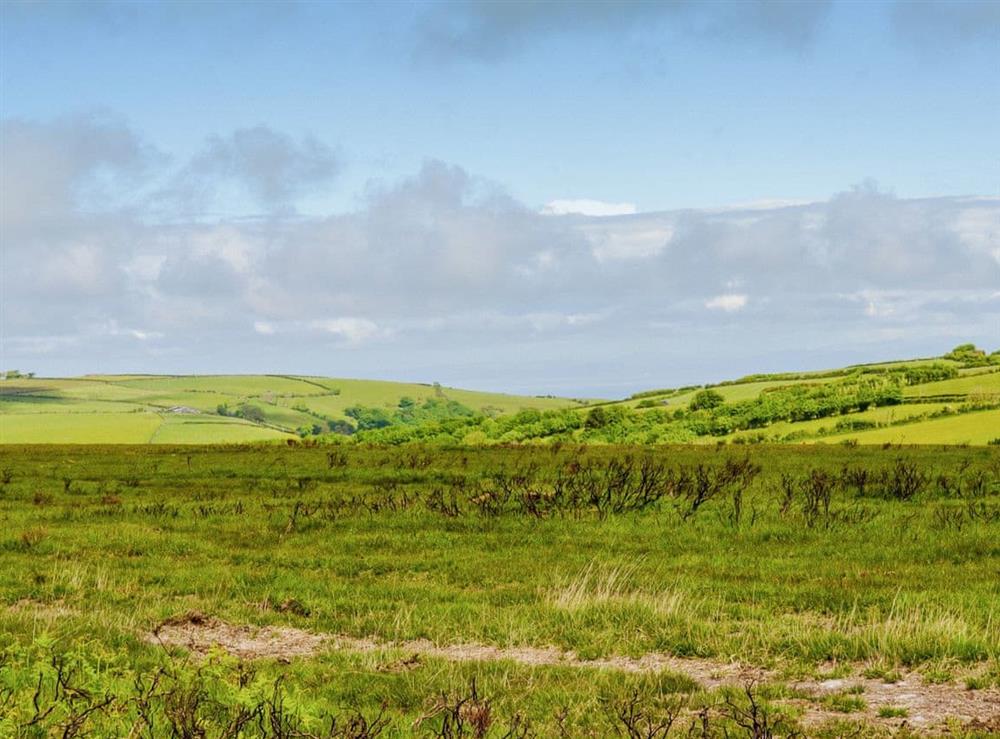 Open moorland-Only 150 steps from your cottage. You can walk for hours and not see a sou.