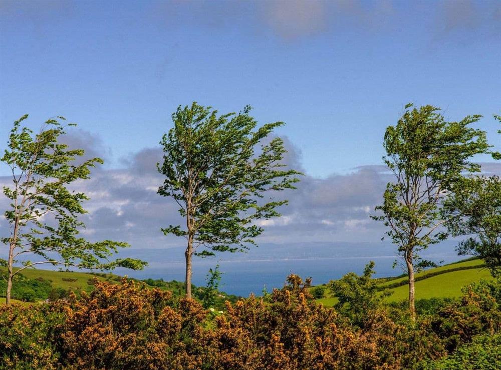 The beauty and wildness of Exmoor