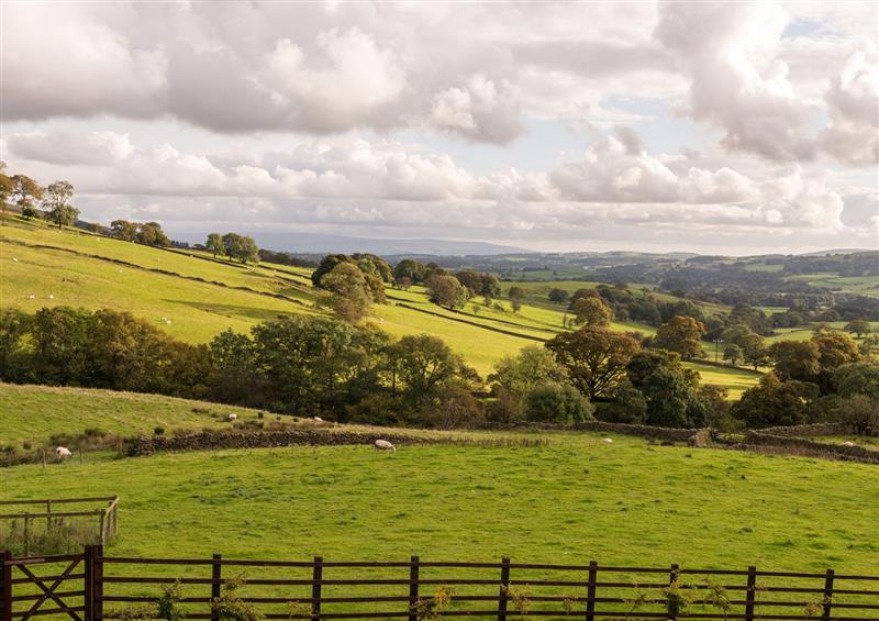 Rural landscape