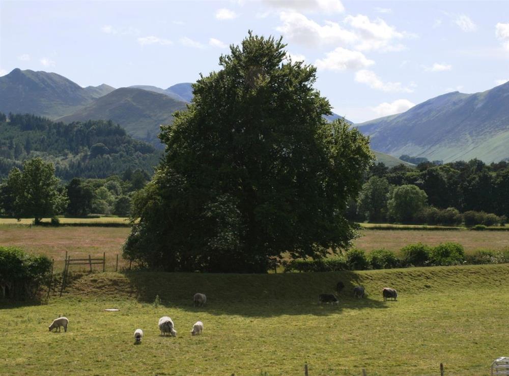 Photo 19 at High Hill Farm Cottage in Keswick, Cumbria