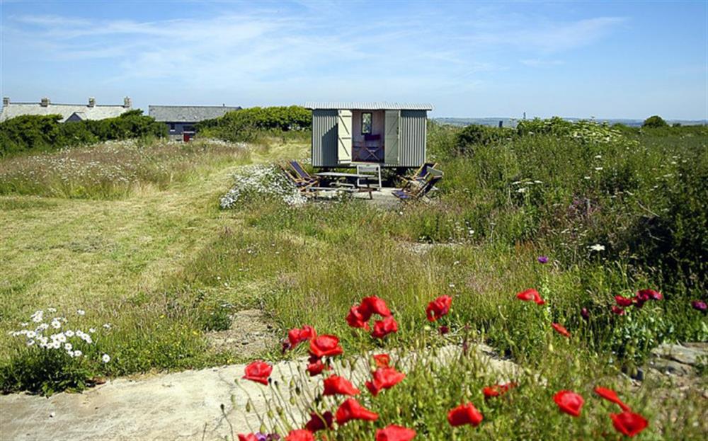 The Shepherd's hut at High House Farm East Wing in East Portlemouth