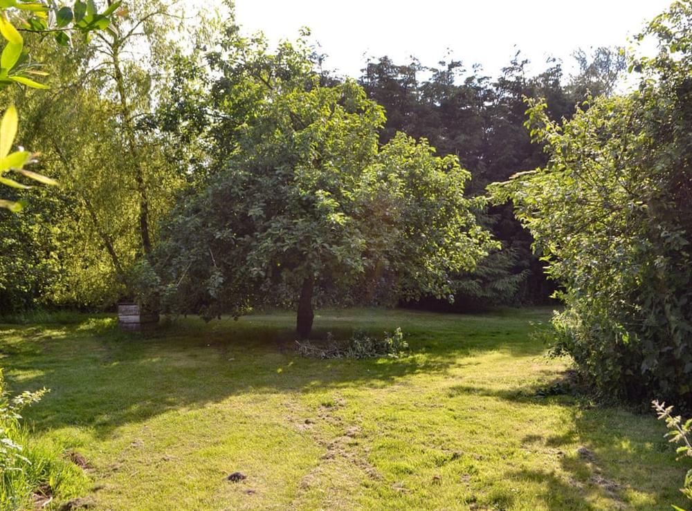 Tranquil orchard at Wheelwrights, 