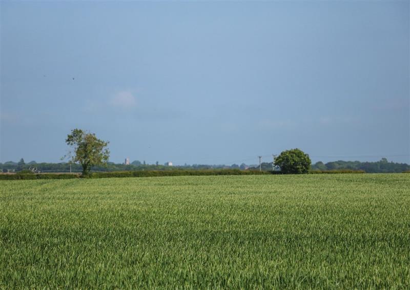 Rural landscape (photo 3) at High House, Thorpe Market near Southrepps