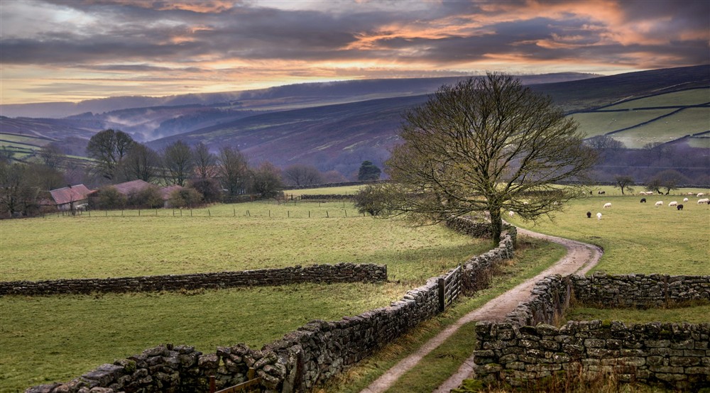 The area surrounding High Lidmoor Farmhouse, Yorkshire at High Lidmoor Farmhouse in Kirkbymoorside, North Yorkshire
