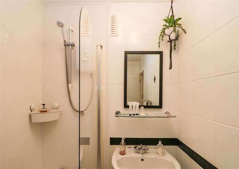 The bathroom at High Rigg Apartment, Bowness-On-Windermere