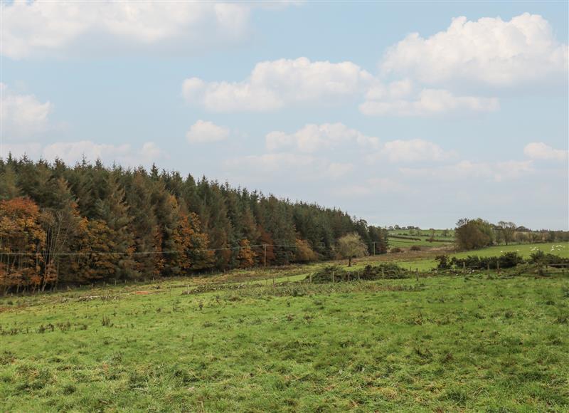 The area around High Shaftoe at High Shaftoe, Middleton near Ponteland