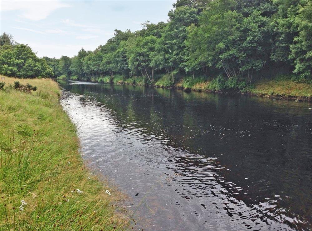 Stretch of the River Tyne available for free single bank fishing