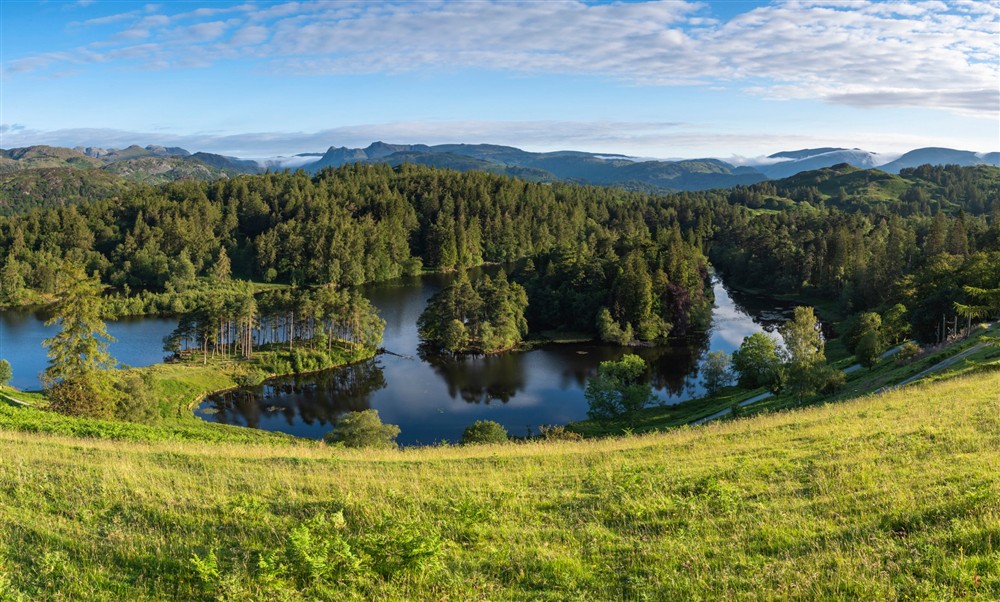 The view from Tarn Hows, Cumbria at High Strawberry Gardens in Near Hawkshead, Cumbria