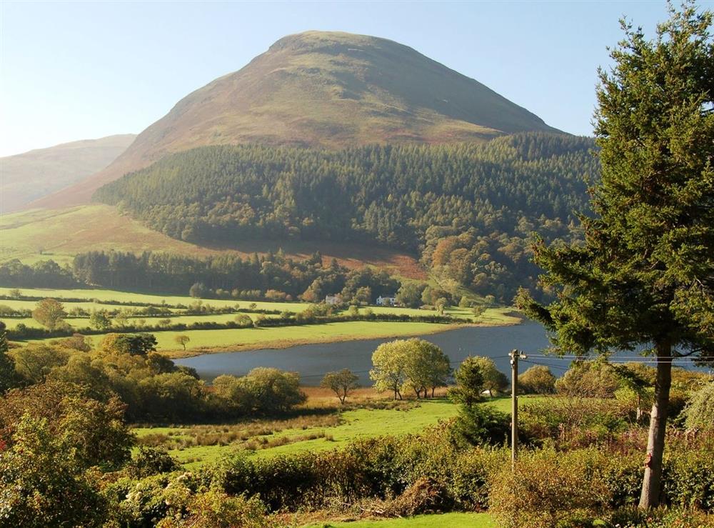 A photo of High Thrushbank