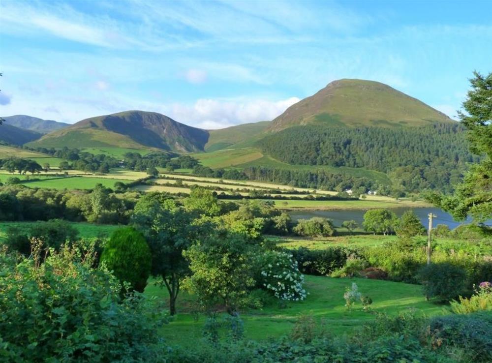 A photo of High Thrushbank