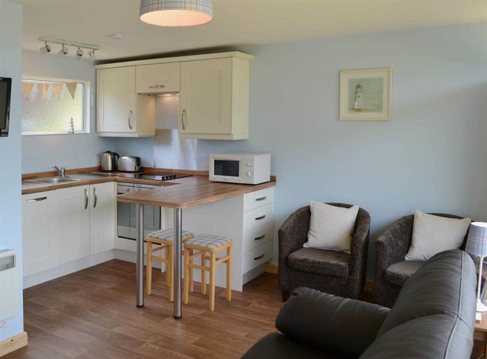 Open plan living/dining room/kitchen (photo 2) at High Tide in Cromer, Norfolk