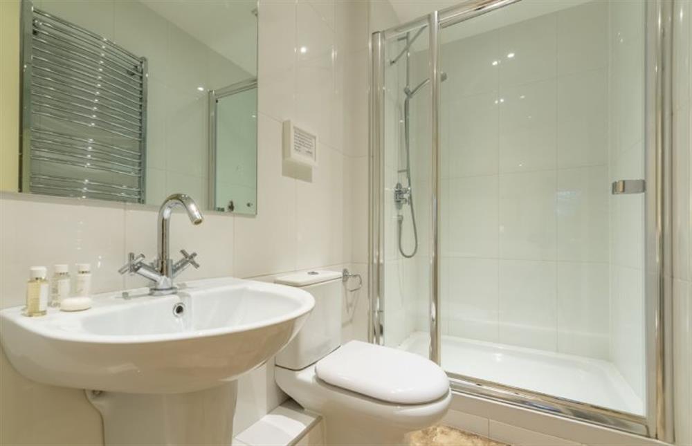 En-suite shower room (photo 2) at Higham Place Lodge, Higham