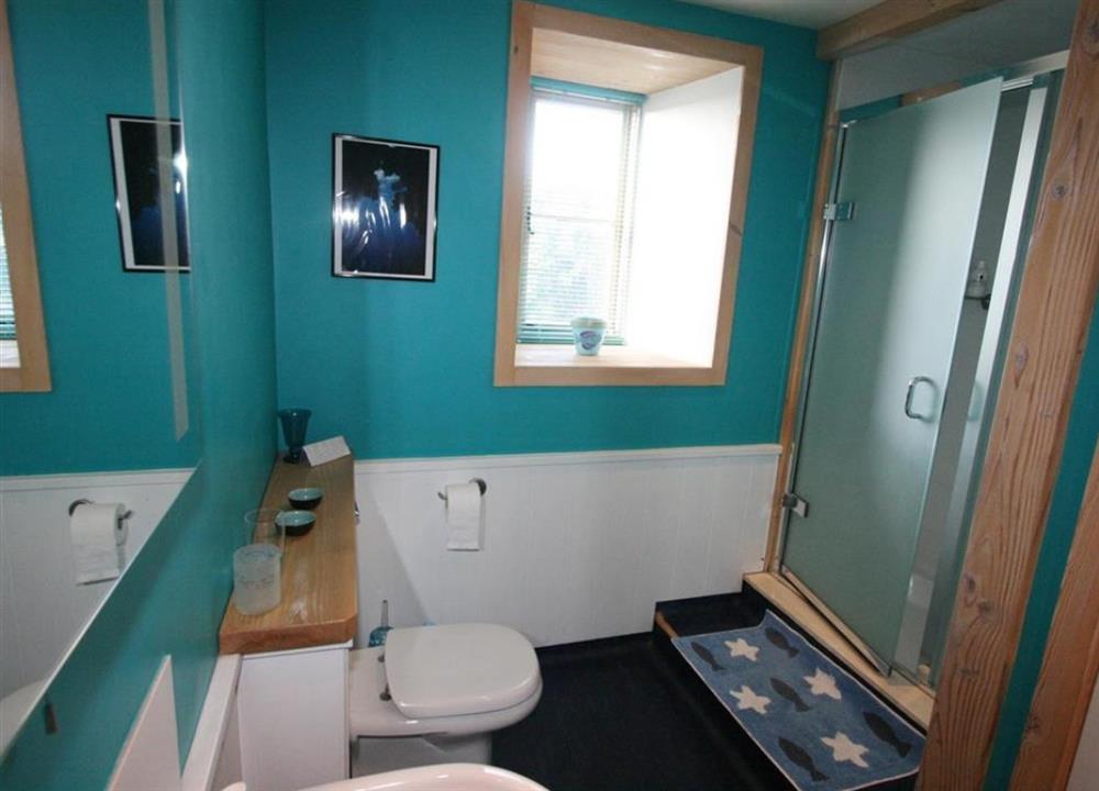 Shower room at Highcliff Cottage in Sennen