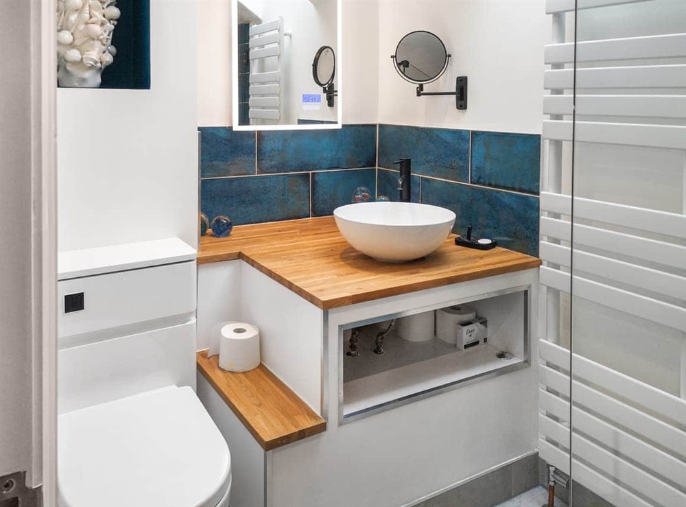 Bathroom at Higher Alscott Annexe in Torrington, Devon