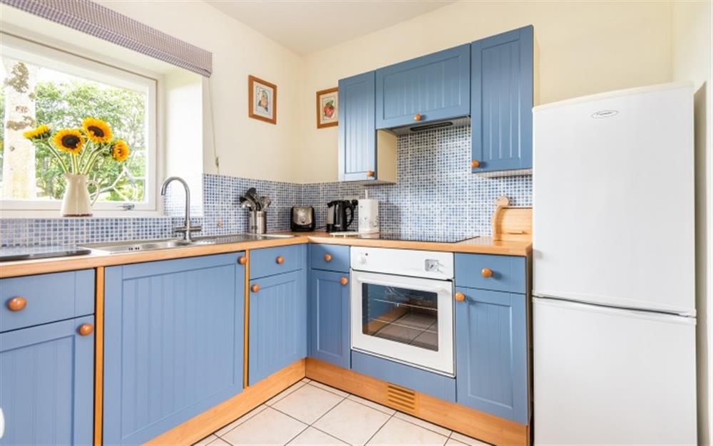Another look at the kitchen  at Higher Beneknowle Cottage in Diptford