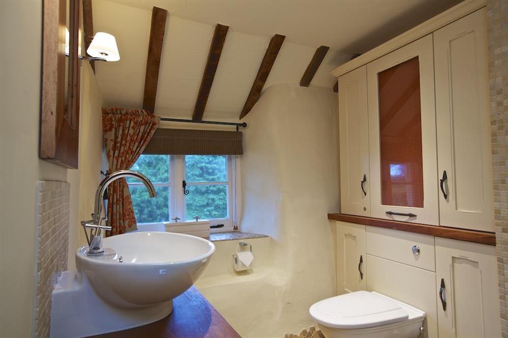 En suite shower room at Higher Collaton Cottage in Malborough, Nr Salcombe
