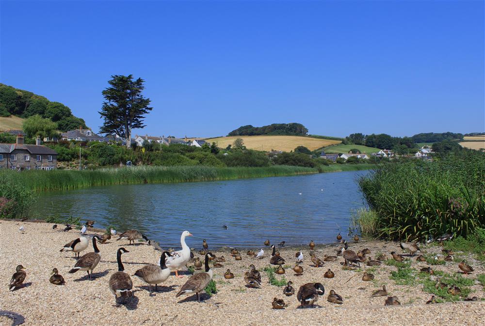 Slapton Ley just across from Slapton Sands, both within reach just a short drive away at Higher Hill Barn in , Nr Kingsbridge