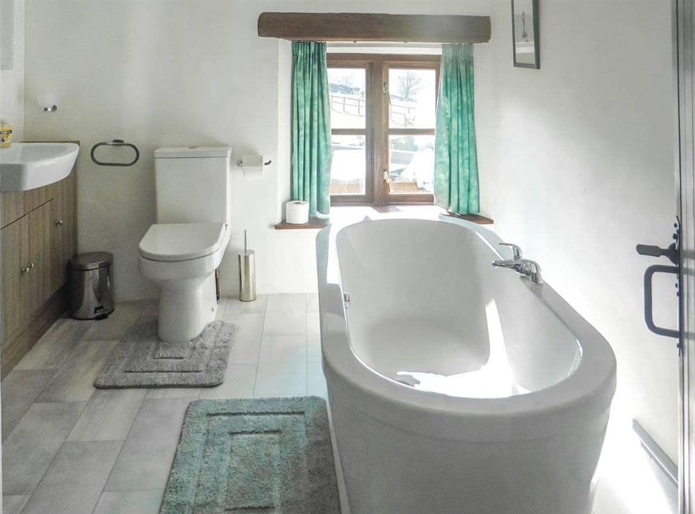 Bathroom at Higher Rowes Farm in Horndon, Devon
