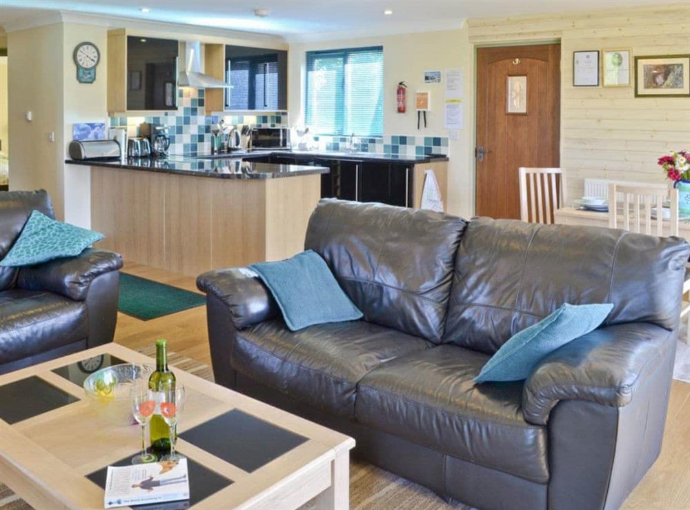 Open plan living/dining room/kitchen at Primrose Lodge, 