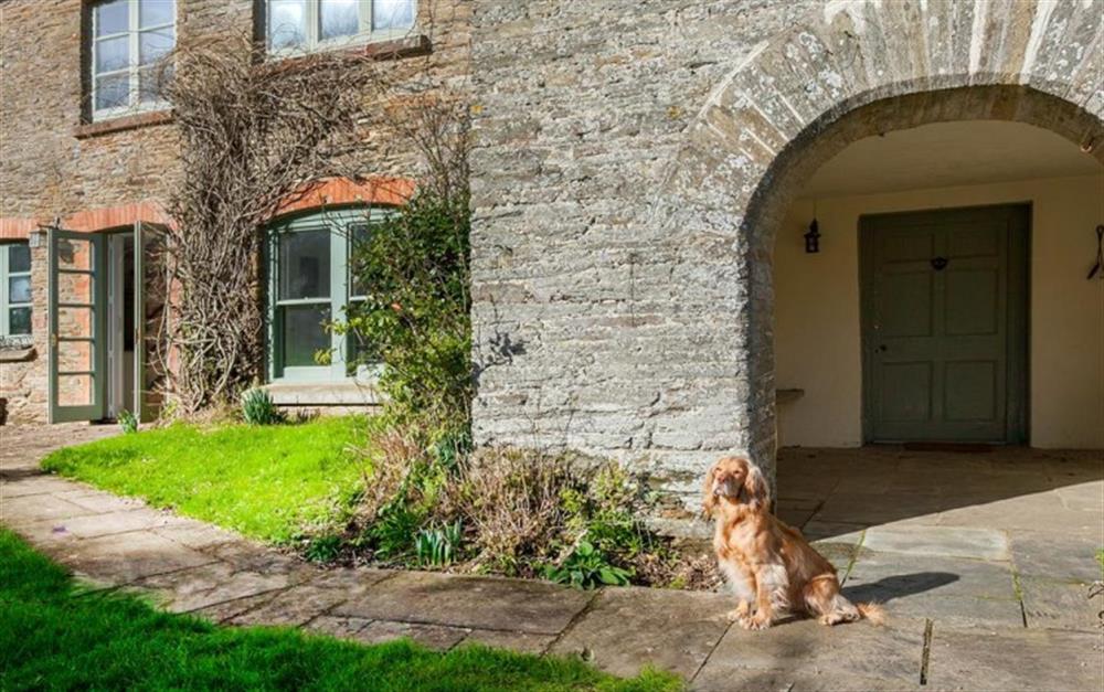 Dog friendly! at Higher Sutton in Thurlestone
