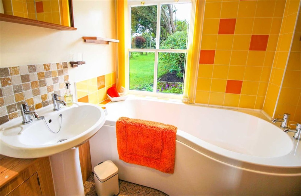 Bathroom (photo 2) at Higher Trewellard Hill Farm in Cape Cornwall, England